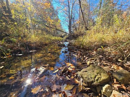 Undeveloped Land for sale in Saint Francois County, Missouri