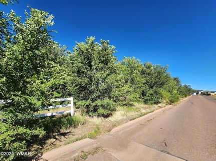 Undeveloped Land for sale in Navajo County, Arizona