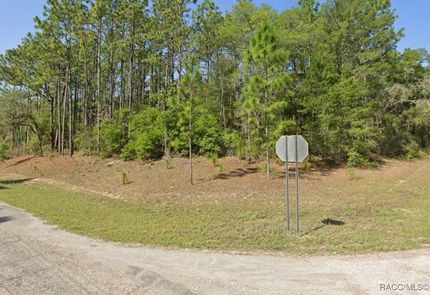 Undeveloped Land for sale in Citrus County, Florida