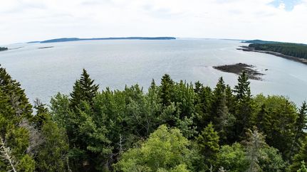 Undeveloped Land for sale in Washington County, Maine