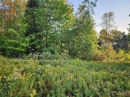 Undeveloped Land for sale in Forest County, Wisconsin