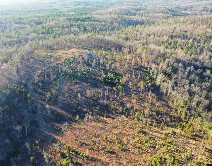 Property for sale in Fulton County, Arkansas