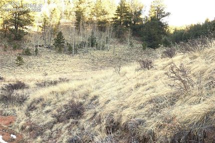 Property for sale in Teller County, Colorado