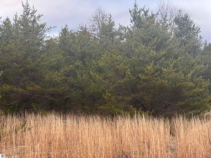 Undeveloped Land for sale in Lake County, Michigan