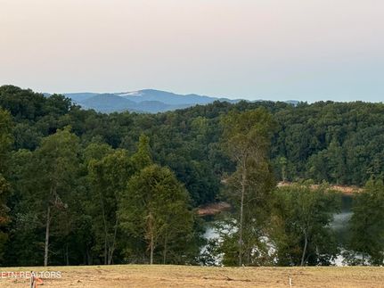 Undeveloped Land for sale in Hamblen County, Tennessee