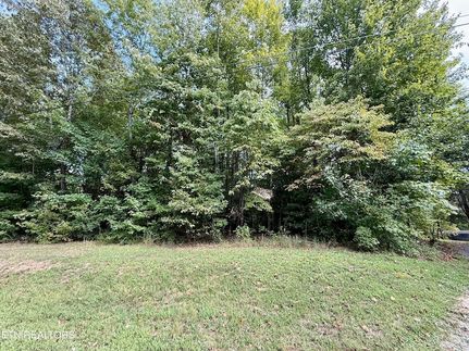 Undeveloped Land for sale in Roane County, Tennessee