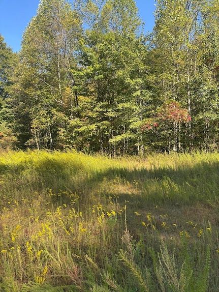 Undeveloped Land for sale in Fayette County, West Virginia