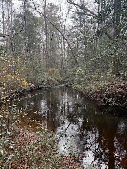 Undeveloped Land for sale in Kershaw County, South Carolina