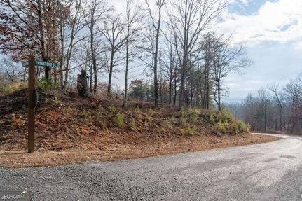 Undeveloped Land for sale in Gilmer County, Georgia