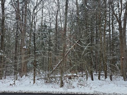 Property for sale in Hampden County, Massachusetts