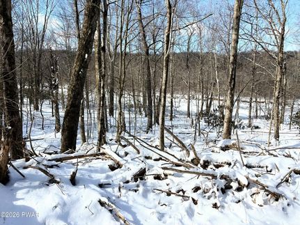 Undeveloped Land for sale in Pike County, Pennsylvania