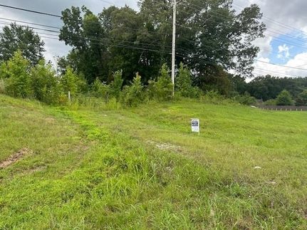 Undeveloped Land for sale in Shelby County, Tennessee