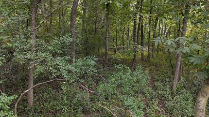 Property for sale in Saint Croix County, Wisconsin