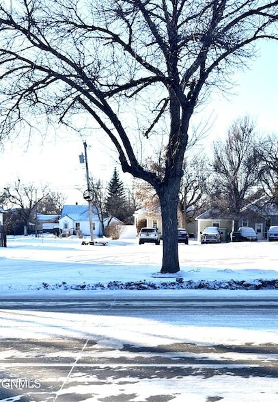 Undeveloped Land for sale in Williams County, North Dakota