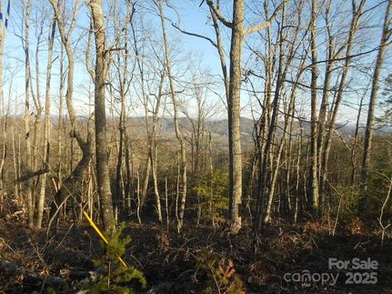 Undeveloped Land for sale in Rutherford County, North Carolina