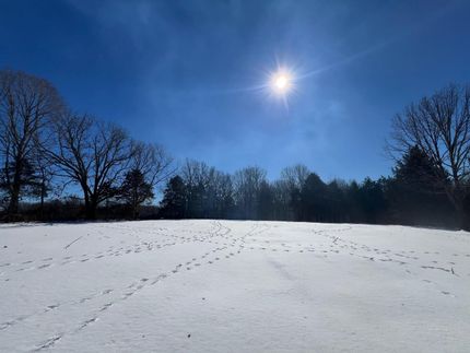 Farm Property for sale in Webster County, Missouri