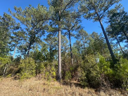 Property for sale in Jackson County, Florida