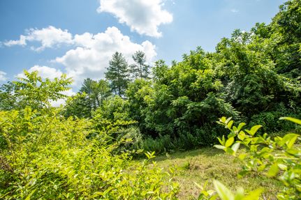 Hunting Land for sale in Carroll County, Virginia