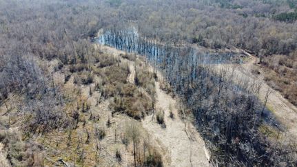 Property for sale in Beauregard Parish, Louisiana