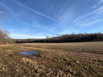 Timberland Property for sale in Muhlenberg County, Kentucky