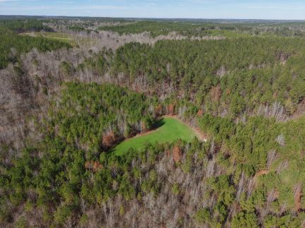 Hunting Land for sale in Choctaw County, Alabama