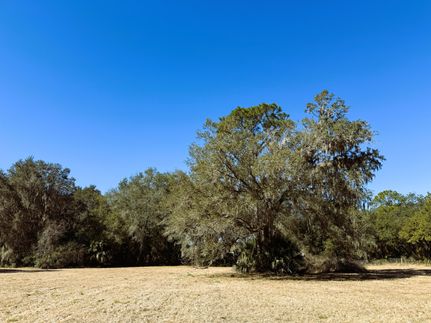Undeveloped Land for sale in Marion County, Florida