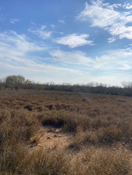 Farm Property for sale in Webb County, Texas