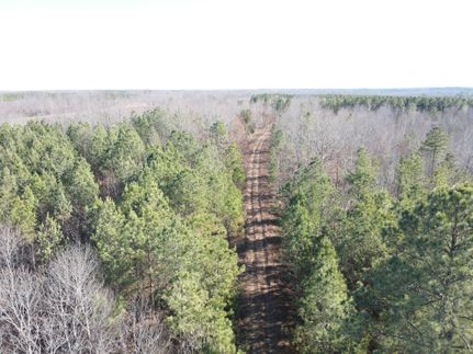 Timberland Property for sale in Stewart County, Tennessee