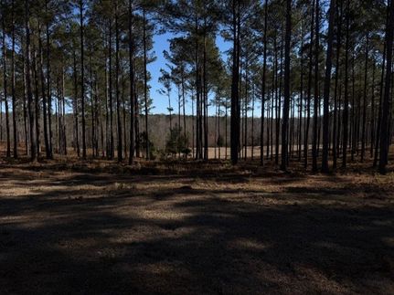 Farm Property for sale in Lee County, Alabama