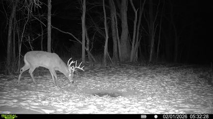 Hunting Land for sale in Leavenworth County, Kansas