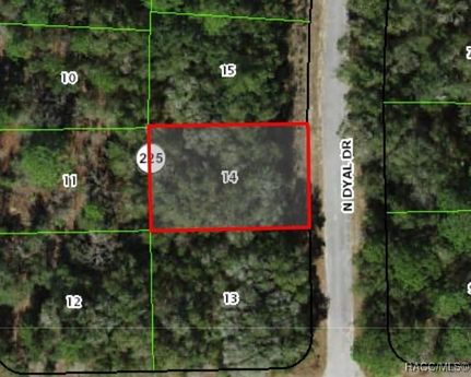 Undeveloped Land for sale in Citrus County, Florida