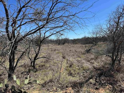 Undeveloped Land for sale in Llano County, Texas