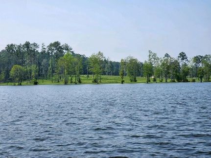 Lakefront Property for sale in Newton County, Texas