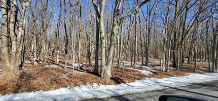 Undeveloped Land for sale in Carbon County, Pennsylvania