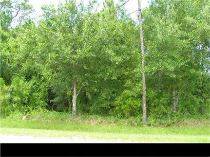 Undeveloped Land for sale in Indian River County, Florida