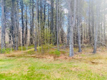 Undeveloped Land for sale in Penobscot County, Maine