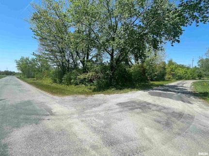 Undeveloped Land for sale in Williamson County, Illinois