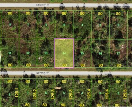 Undeveloped Land for sale in Charlotte County, Florida