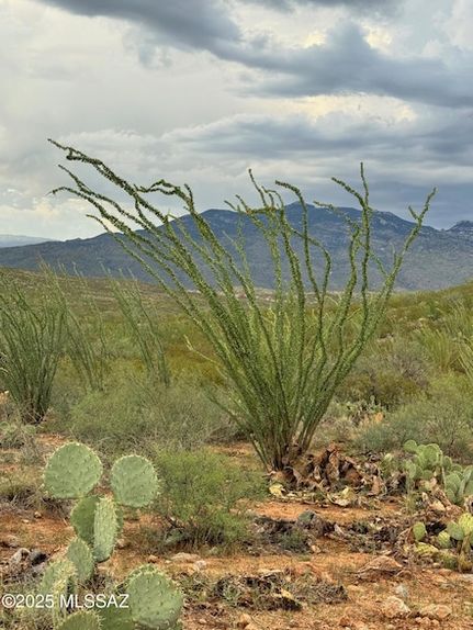 Property for sale in Pima County, Arizona