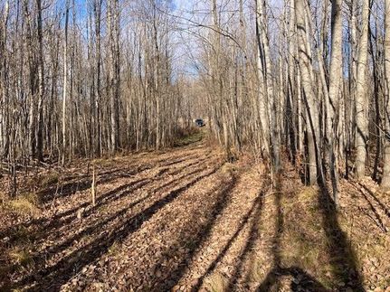 Undeveloped Land for sale in Rusk County, Wisconsin