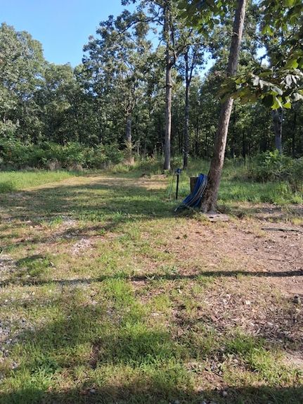 Undeveloped Land for sale in Texas County, Missouri