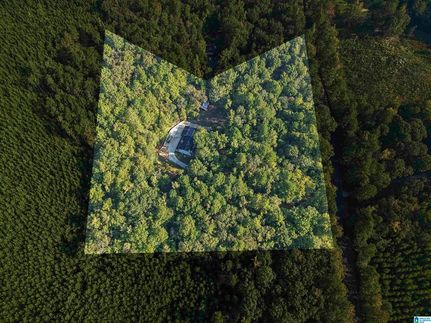 Property for sale in Saint Clair County, Alabama