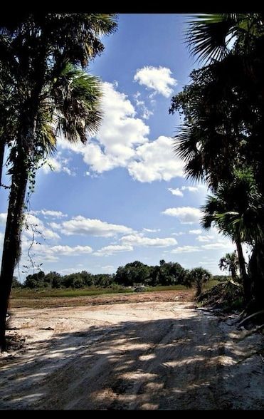 Undeveloped Land for sale in Okeechobee County, Florida