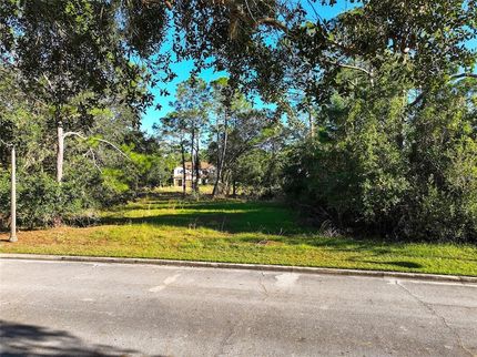 Undeveloped Land for sale in Osceola County, Florida