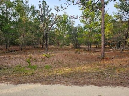 Undeveloped Land for sale in Citrus County, Florida