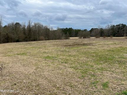 Undeveloped Land for sale in Smith County, Mississippi