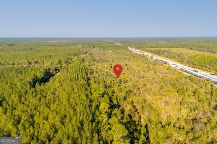 Undeveloped Land for sale in Ware County, Georgia