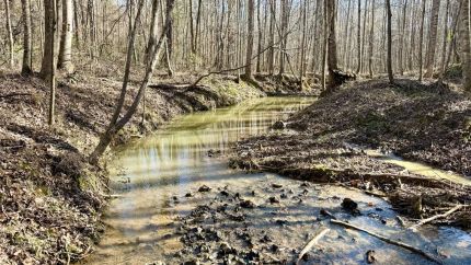 Farm Property for sale in Twiggs County, Georgia