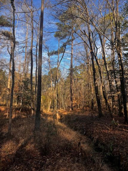 Recreational Property for sale in Ouachita County, Arkansas