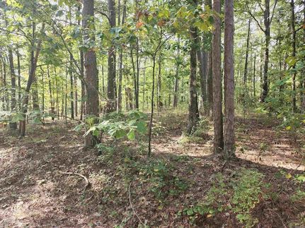Property for sale in Saline County, Arkansas